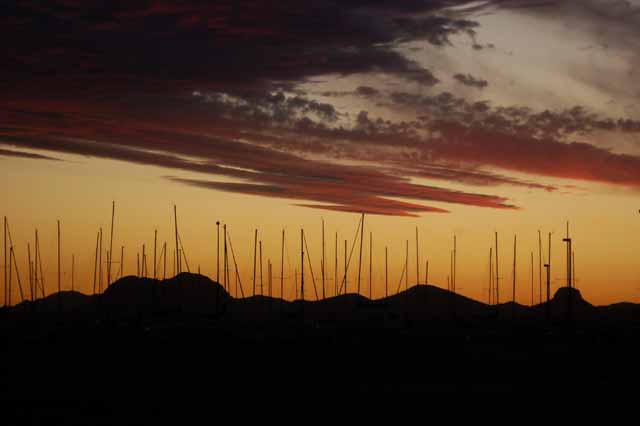 sunset in the park